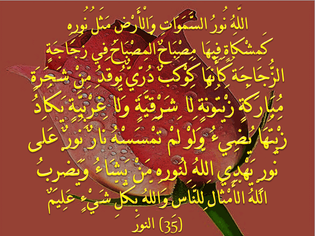 نور على نور