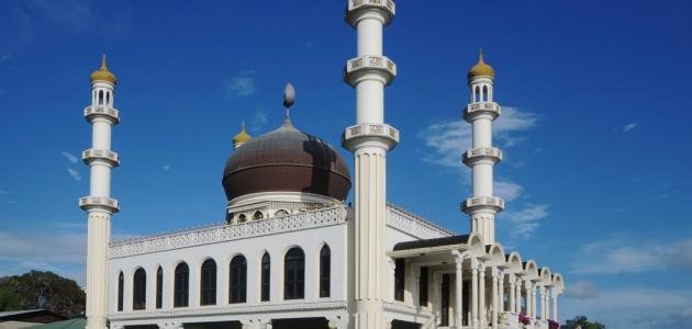 مكانة المسجد ودوره