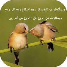 ويسألونك عن الروح
