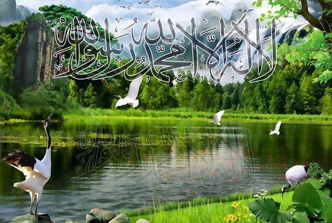 حاجتنا إلى السكينة